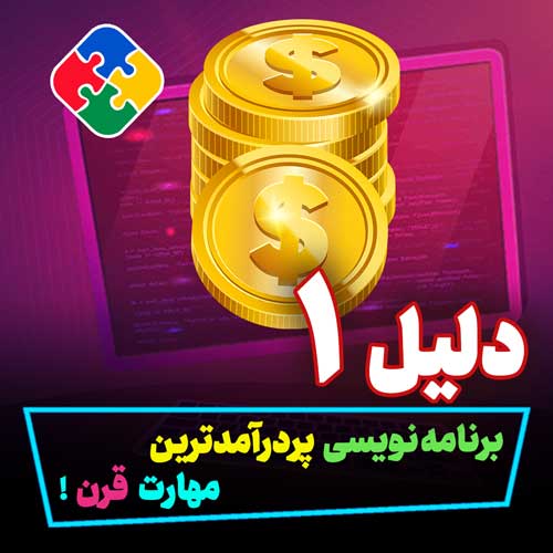 برنامه نویسی پردرآمدترین مهارت قرن!
